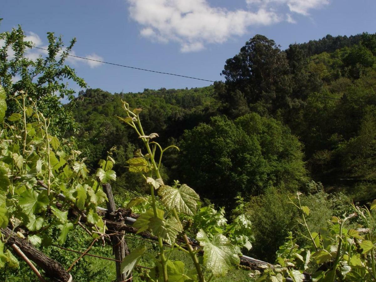 Вілла Casa En Vinoas Екстер'єр фото